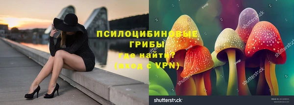 альфа пвп Беломорск