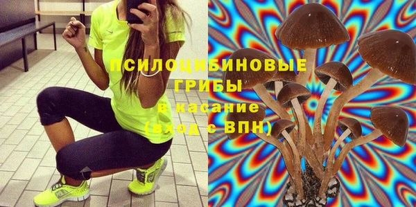 МДПВ Белокуриха